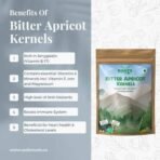 Vedic Roots Roots|Bitter Apricot Kernels - Fresh, 100 Gram - Fast UK Delivery - Image 3