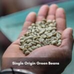 Baarbara Coffee |Arabica Washed AAA Green Beans |From Chikmagalur Farms Since 1896 (1 KG) - Fast Shipping to USA & Canada - Image 5