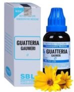 SBL Guatteria Gaumeri Mother Tincture Q (30ml) - Set of 1 Bottle - Fast UK Delivery - Image 2