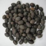 Divesh Store Lotus Seed 100 Grm -Kamal Gatta Seed-Nelumbo Nucifera Gaertn - Fast UK Delivery