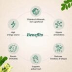 Neuherbs Organic Moringa 120 Tablets | Ayurvedic Support For Holistic Wellness | High In Energy & Antioxidants - Fast UK Delivery - Image 5