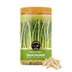 TEACURRY Organic Shatavari Roots (200 Gram Pack) - Supports Body Strength, Energy and Digestion - For Internal Wellness Herb For Men and Women - Asparagus Roots - Fast Shipping to USA & Canada - Image 2