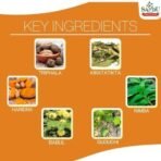 SANDU Pathyadi Kadha (450 Ml) - Fast UK Delivery - Image 4