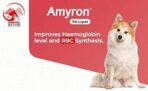 AIMIL Amyron Pet Liquid | Natural Health Restorative for Maintaining Healthy Growth & Development in Dogs & Cats | 200ml - Fast UK Delivery - Image 5