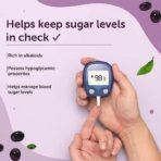 Neuherbs Natural Jamun Seed Powder For Healthy Digestion & Sugar Levels | 100% Pure & Natural | Good For Heart Health, Immune System, Detoxification - (200g Pack of 1) - Fast UK Delivery - Image 6