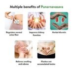 Kerala Ayurveda Punarnavasava 450ml | Ayurveda Tonic for Healthy Urinary System | Kidney Detox | Herbal Diuretic| 100% Ayurvedic | With Punarnava, Gokshura, Patola, Kantakari, Vasa, Dhataki etc - Fast UK Delivery - Image 4