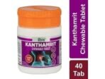 Patanjali MANOHAR DIVYA KANTHAMRIT CHEWABLE TABLET 40 N 6 GM PACK OF 4 - Fast UK Delivery - Image 3