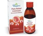 Dhootapapeshwar Pain Relief Liniment 100ml - Fast UK Delivery - Image 2
