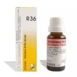 DR RECKEWEG R 36 DISEASES OF THE NERVES 22 ML RECKEWEG - Fast UK Delivery