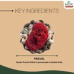 Sandu Pravalpishti | Ayurvedic Medicine for Hyperacidity & Burning Sensation in the Body | 10 g - Fast UK Delivery - Image 3