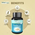 Herbal Canada (Garlic Capsule) Lehsun - 60 Capsule (Pack of 3) - Fast UK Delivery - Image 5