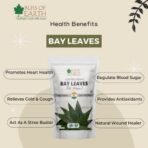 Bliss of Earth Certified Organic Indian Bay Leaves With Zero Pin Holes & Zero Dust, A1 Grade Tej Patta With Uniform Green Color, 50gm - Fast UK Delivery - Image 5