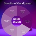 Basic Ayurveda Gond Jamun (Indian Balck Berry Gum) |A Botanical Gum Boost immunity, Regulate Blood Sugar Levels, Enhance Digestion, A Holistic Approach To Well-Being- 60 Gm (Pack Of 1) - Fast UK Delivery - Image 4