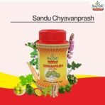 Sandu Chyavanprash | Ayurvedic Immunity Booster For The Entire Family - For Strength, Stamina And General Wellness (1 Kg) - Fast UK Delivery - Image 4