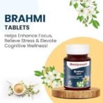 Baidyanath Brahmi Tablets- 60 Tab | Helps To Handle Life?s Daily Stress | Promotes Mind Relaxation (Pack of 2) - Fast UK Delivery - Image 2