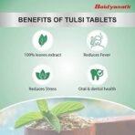 Baidyanath Tulsi Tablets - 60 Tab|Helps in Boosts Immunity | Helpful in Cough & Cold (Pack of 1) - Fast UK Delivery - Image 3