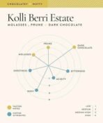 Blue Tokai Coffee Roasters Kolli Berri Estate - Medium Dark Roast (French Press Grind) 250g | Made With 100% Specialty Grade Arabica Freshly Roasted Ground Coffee, Bag - Fast UK Delivery - Image 4