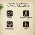 Neuherbs Shilajit - 30g |Himalayan Shilajeet Resin With 75% Fulvic Acid & 84 + Trace Minerals| Ayurvedic Original Shilajit for Endurance, Stamina and strength | Lab Tested for Purity. - Fast UK Delivery - Image 5