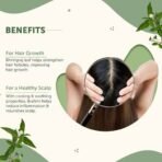 Neuherbs Organic Bhringraj Powder For Men & Women (100g Pack of 1) | Ayurvedic Support To Boost Hair Health | 100% Pure & Natural | No Additive Preservative | Best For Hair Growth - Fast UK Delivery - Image 4