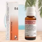 Dr Reckeweg R4 Homeopathic Medicine Enterocolin - 22ml Original_Imported - Fast UK Delivery - Image 2