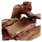 Divesh Store Arjun Ki Chaal 200 Grm - Thella Maddi - Marudha Maram Bark - Terminalia Arjuna - Fast UK Delivery