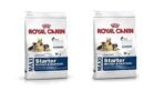 Royal Canin Maxi Milk Starter Pellet Dog Food (1 Kg) - Pack of 2 - Fast UK Delivery