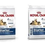 Royal Canin Maxi Milk Starter Pellet Dog Food (1 Kg) - Pack of 2 - Fast UK Delivery