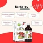 Basic Ayurveda Cardina Life Ok Sugar-Free Drink | Ayurvedic Supplements Blend For Heart Health | - Fast UK Delivery - Image 4