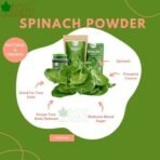 Bliss of Earth Spinach Powder (Palak) Natural Spray Dried Powder loaded with Protein, vitamin & other Nutrition 200gm - Fast UK Delivery - Image 6