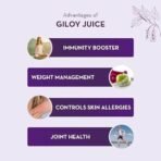 Baidyanath Asli Ayurved Giloy Juice Natural Immunity Booster - 1 Litre - Fast UK Delivery - Image 3
