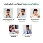 Kerala Ayurveda Sudarsana Tablet | Relieves Viral Infections | Eases High Temperature, Chills, and Cold | Relieves Headache, Sore Throat, and Cold | Ayurvedic Anti-viral Tablets| No Artificial Flavors| 100% Ayurvedic |With Kirathatiktha, Musta, Patmaka, Murva, and Kutaja | - Fast UK Delivery - Image 4