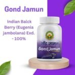 Basic Ayurveda Gond Jamun (Indian Balck Berry Gum) |A Botanical Gum Boost immunity, Regulate Blood Sugar Levels, Enhance Digestion, A Holistic Approach To Well-Being- 60 Gm (Pack Of 1) - Fast UK Delivery - Image 6