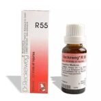 DR RECKEWEG R 55 ALL KIND OF INJURIES 22 ML RECKEWEG - Fast UK Delivery