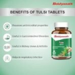 Baidyanath Tulsi Tablets - 120 Tab|Helps in Boosts Immunity | Helpful in Cough & Cold (Pack of 2) - Fast UK Delivery - Image 3