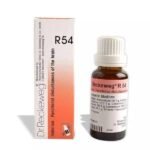 DR RECKEWEG R 54 FUNCTIONAL DISTURBANCES BRAIN 22 ML RECKEWEG - Fast UK Delivery