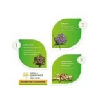 Kerala Ayurveda Jadamayadi Choornam(50 Gm) - Pack of 3 - Fast UK Delivery - Image 4