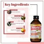 AIMIL Amydio Forte Syrup for Diarrhoea & Dysentery| Energizes body by replenishing electrolyte to prevent dehydration| 100 ML (Pack of 2) - Fast UK Delivery - Image 4