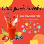 Heera Ayurvedic Research Foundation Citrus Punch Smoothie | Citrus Punch Smoothie mix | 300gms | 8 servings - Fast Shipping to USA - Image 6