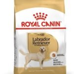 Royal Canin Labrador Pellet Adult Dog Food, Meat flavour, 3 Kg - Fast UK Delivery
