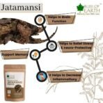 Bliss of Earth 100% Pure & Natural Jatamansi Powder For Hair Growth & Eating, 100gm - Fast UK Delivery - Image 5