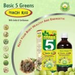 BASIC AYURVEDA Basic 5 Green Panch Ras (Juice) 1000 Ml | - Fast UK Delivery - Image 3