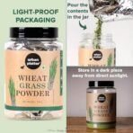 Urban Platter Organic Wheatgrass Powder, 200g [Immunity boosting | Superfood | Supports healthy metabolism | Detoxifying] - Fast UK Delivery - Image 6