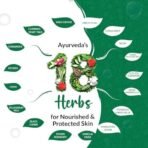 Medimix Ayurvedic Classic 18 Herbs Bathing Soap 125g | Natural Oils For Healthy & Protected Skin | Shop Herbal | Natural | Paraben-free & Sulphate-free | 100% Vegan - Fast UK Delivery - Image 6