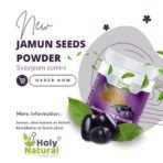 Holy Natural Jamun Seeds Powder - 250 GM | Pure & Natural | For Healthy Digestion, Immune System & Sugar Levels - Image 7