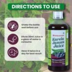 Baidyanath Karela Jamun Juice -1000ml | Natural Remedy for Blood Sugar Management | Helps in Flusing out toxins from Body | Good for Diabetic Care (Pack of 1) - Fast UK Delivery - Image 3
