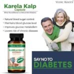 Vedic Roots Ayurvedic Karela Kalp Sugar Control Capsule|Sugar Guard Karela Jamun Neem Jamunbeej Gudmar Capsule for Manage Sugar Metabolism - 60 Capsules - Fast UK Delivery - Image 4