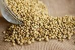 Tassyam Coriander Powder/ Dhaniya 1kg | HoReCa Pro Pack - Fast UK Delivery - Image 4