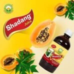 Basic Ayurveda Natural 100% Organic Herbal Juice | All types of health problems | Ayurvedic Juice Good For Health | (Basic Ayurveda Shadang Juice 500ml) - Fast UK Delivery - Image 3