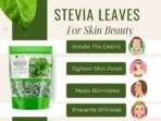 Bliss of Earth Organic Stevia Leaves Dried, Natural & Sugarfree, Best Taste, 100GM - Fast UK Delivery - Image 5