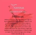 Tassyam Habibi Hibiscus Petals Herbal Tea 40g | Premium Tisanes - Fast UK Delivery - Image 6